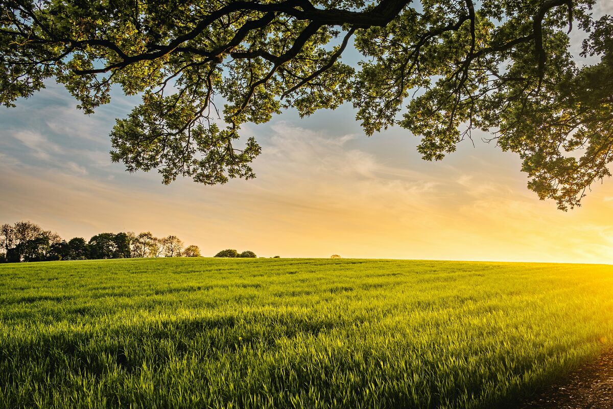 Champ vide sous ciel degage, annonces de vente et achat de terrain sur Full Annonces