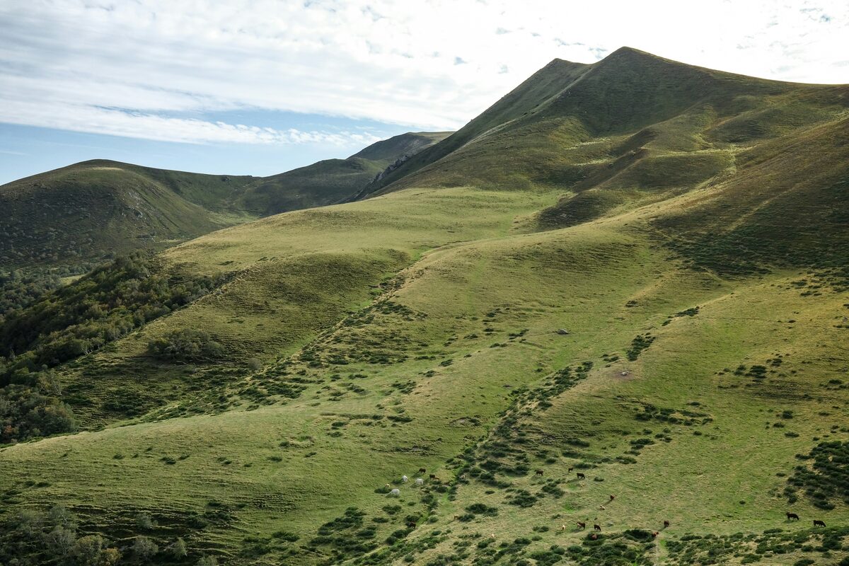Montagnes vertes et brunes sous ciel degage, annonces en Auvergne sur Full Annonces