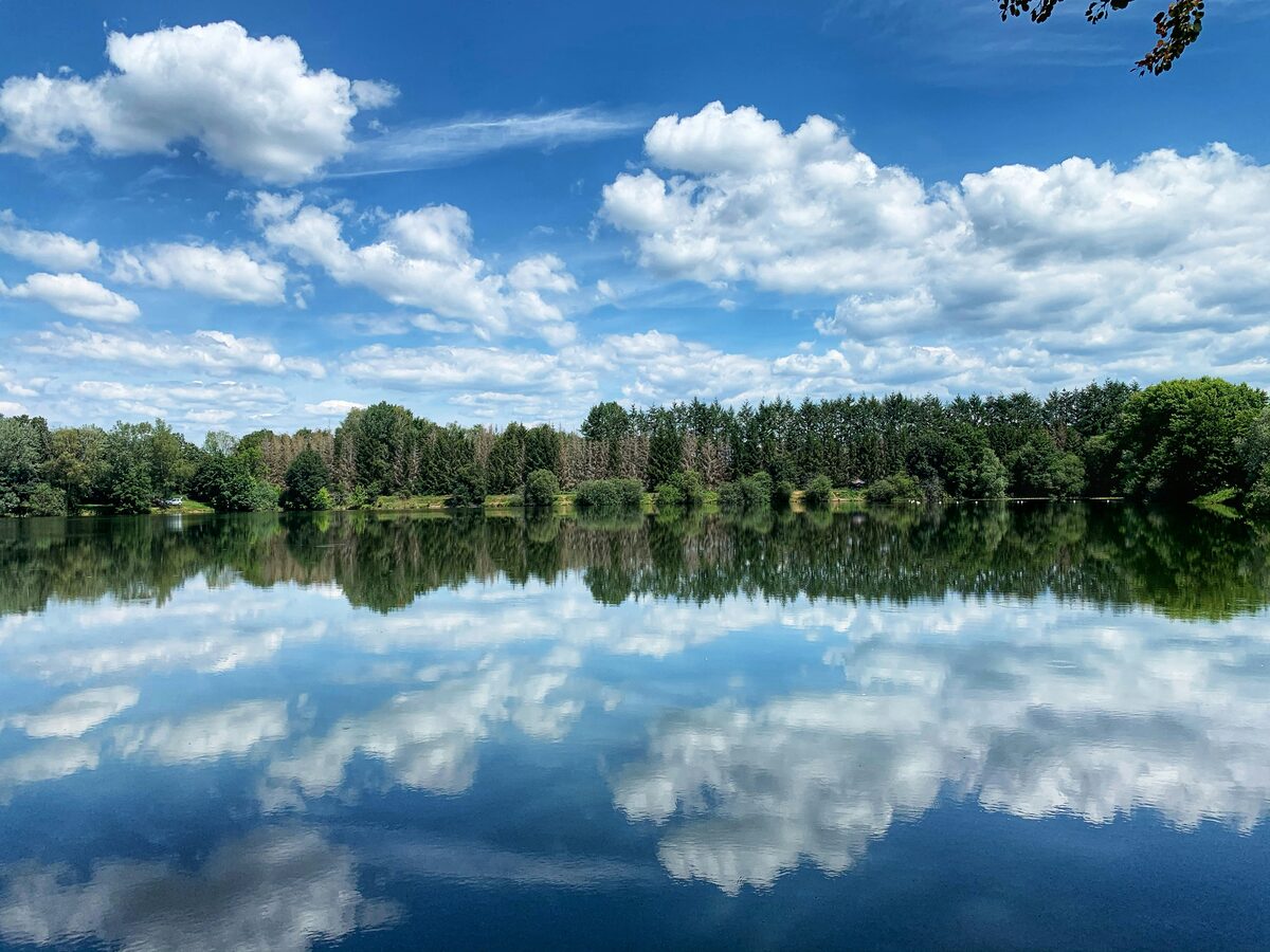 Plan d eau entoure d arbres en Bourgogne-Franche-Comte, annonces en Franche-Comte sur Full Annonces
