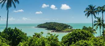 annonces gratuites en guyane